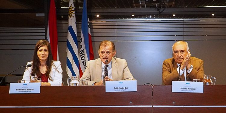 Descripción de la imagen